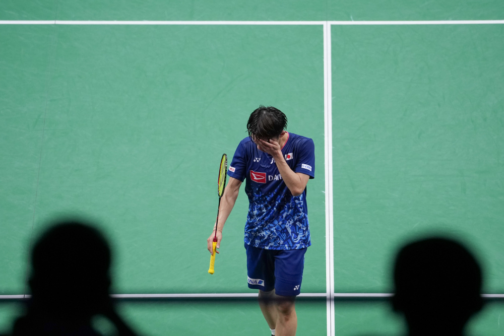 彰显了他们 彰显了他们