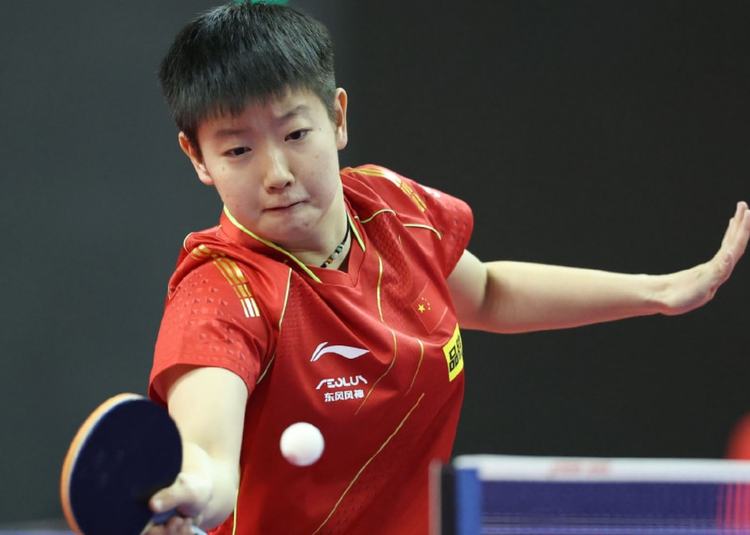 略不止局限 略不止局限