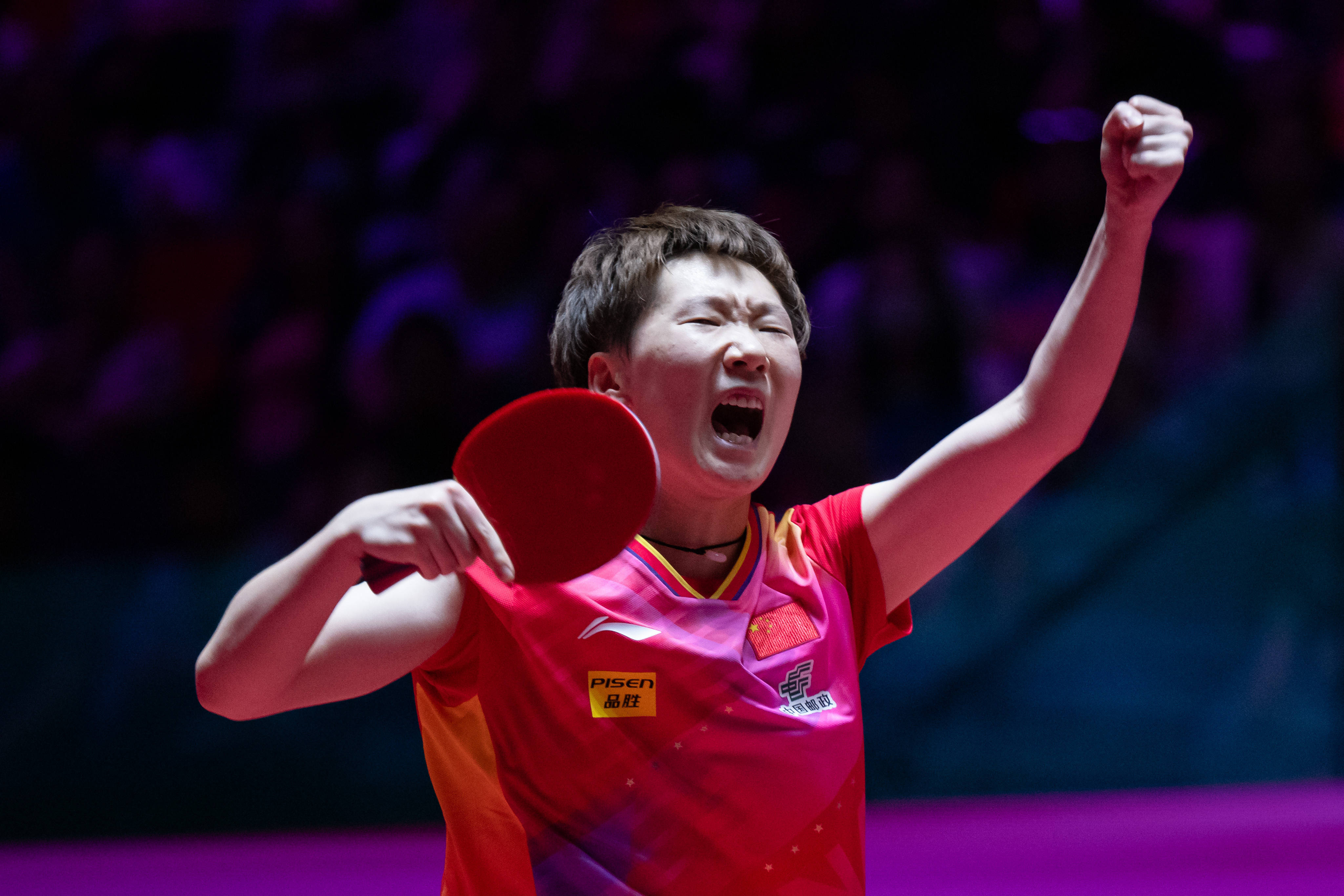 平衡型的尾 平衡型的尾